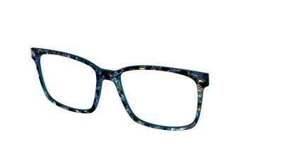 The Black Prismatic Pearl Tortoise