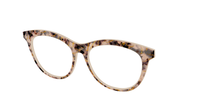 The Almond Tortoise with Gold Streaks