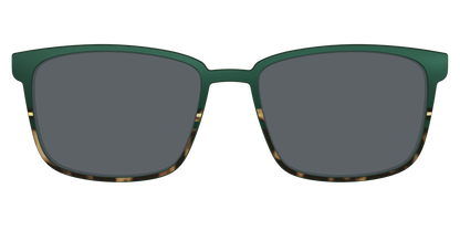 The Polarized Spruce Tortoise Sun Top