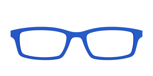 The Indigo
