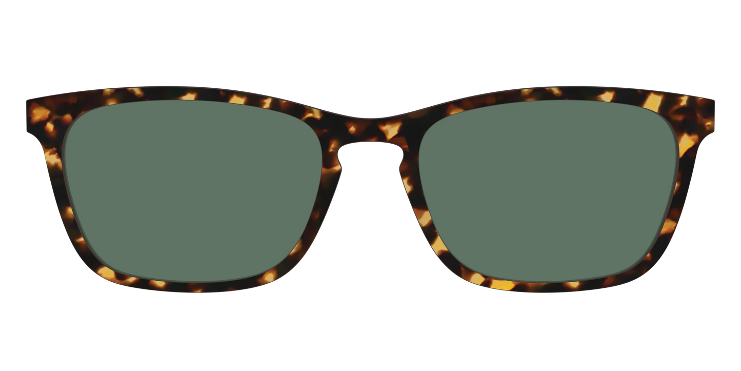 The Non-Polarized Green Tortoise Sun Top