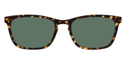 The Non-Polarized Green Tortoise Sun Top