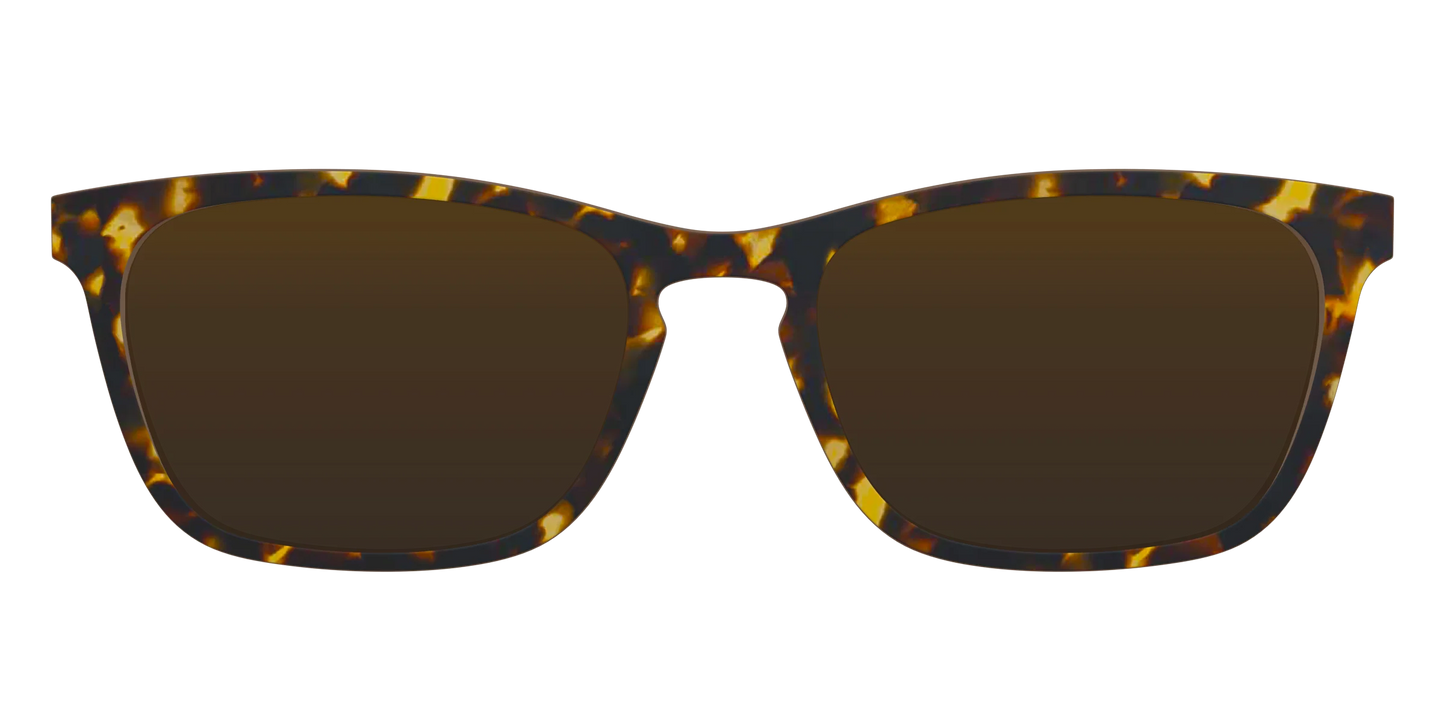 The Polarized Tortoise Sun Top