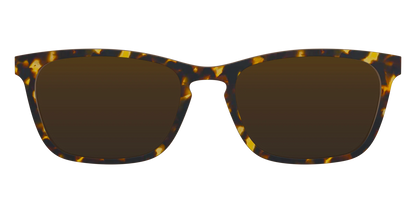 The Polarized Tortoise Sun Top