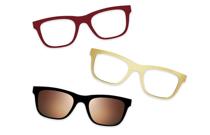 Tortoise - Set