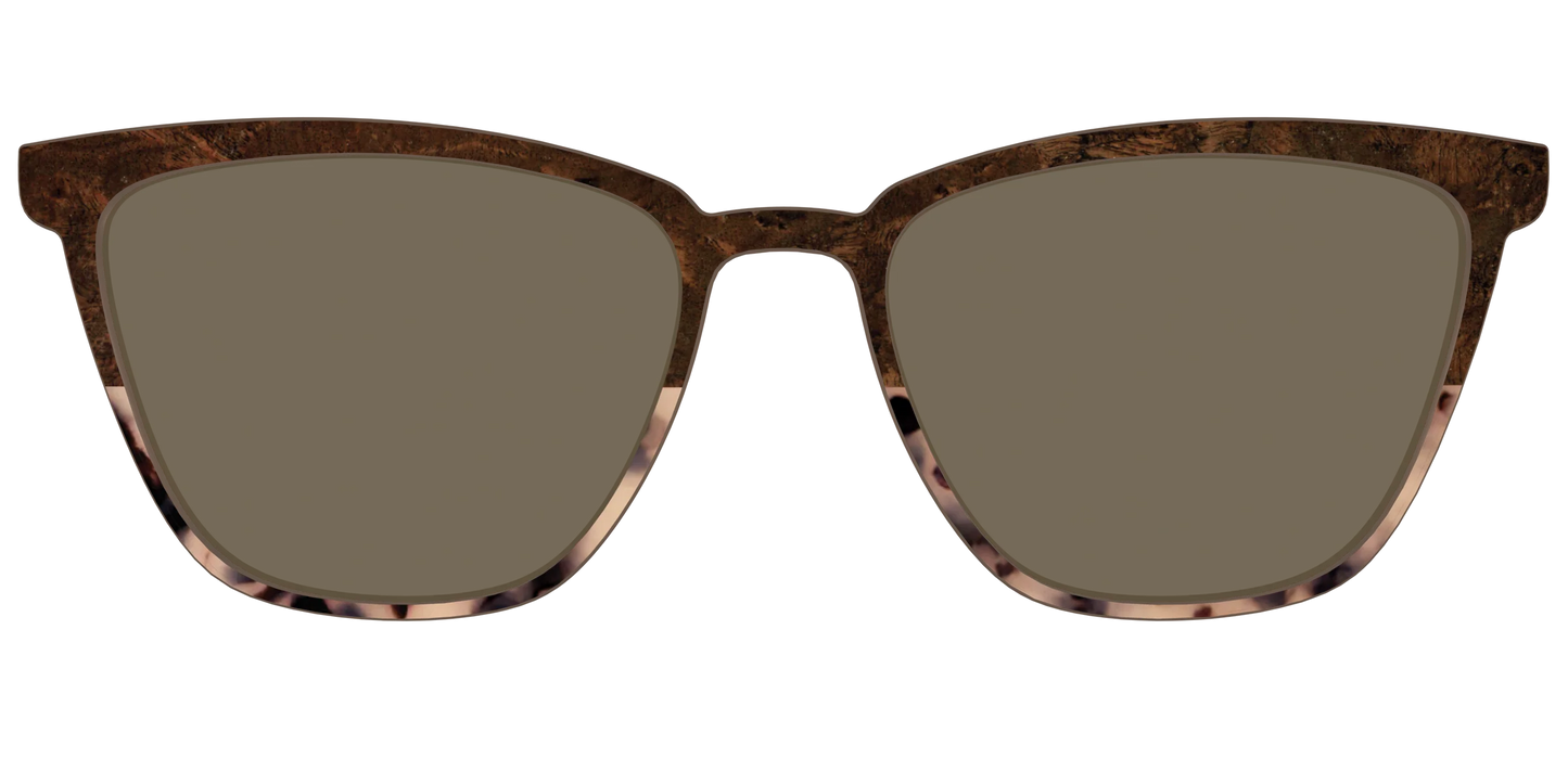 The Polarized Dark Oak Tortoise Split Sun Top