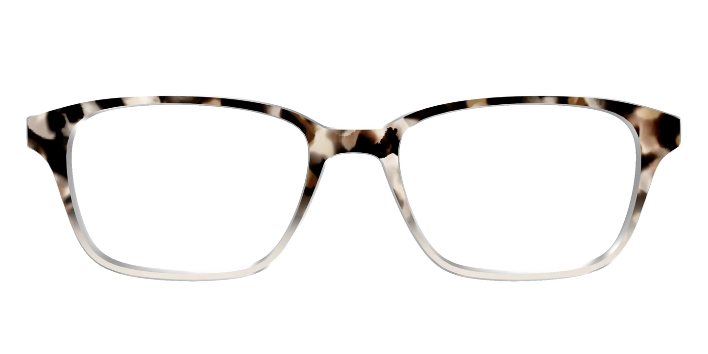 The Vanilla Latte Tortoise