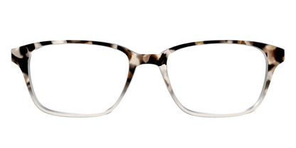 The Vanilla Latte Tortoise