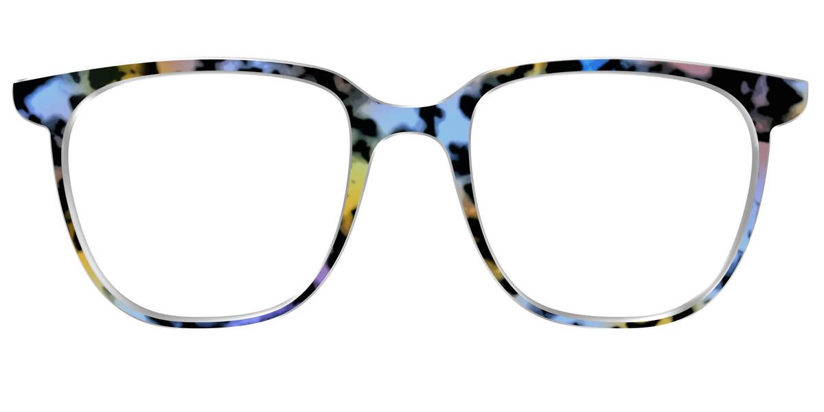 The Positano Tortoise