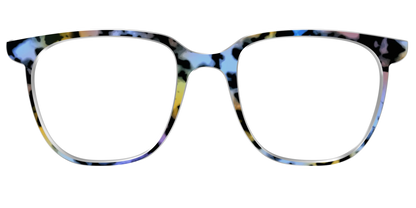 The Positano Tortoise