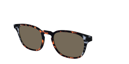 The Polarized Gray & Amber Tortoise Sun Top