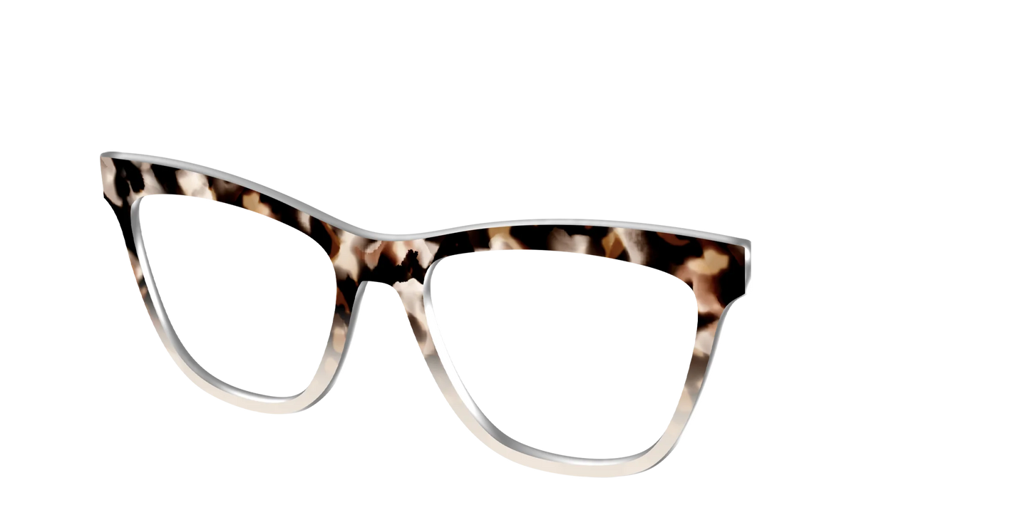 The Vanilla Latte Tortoise