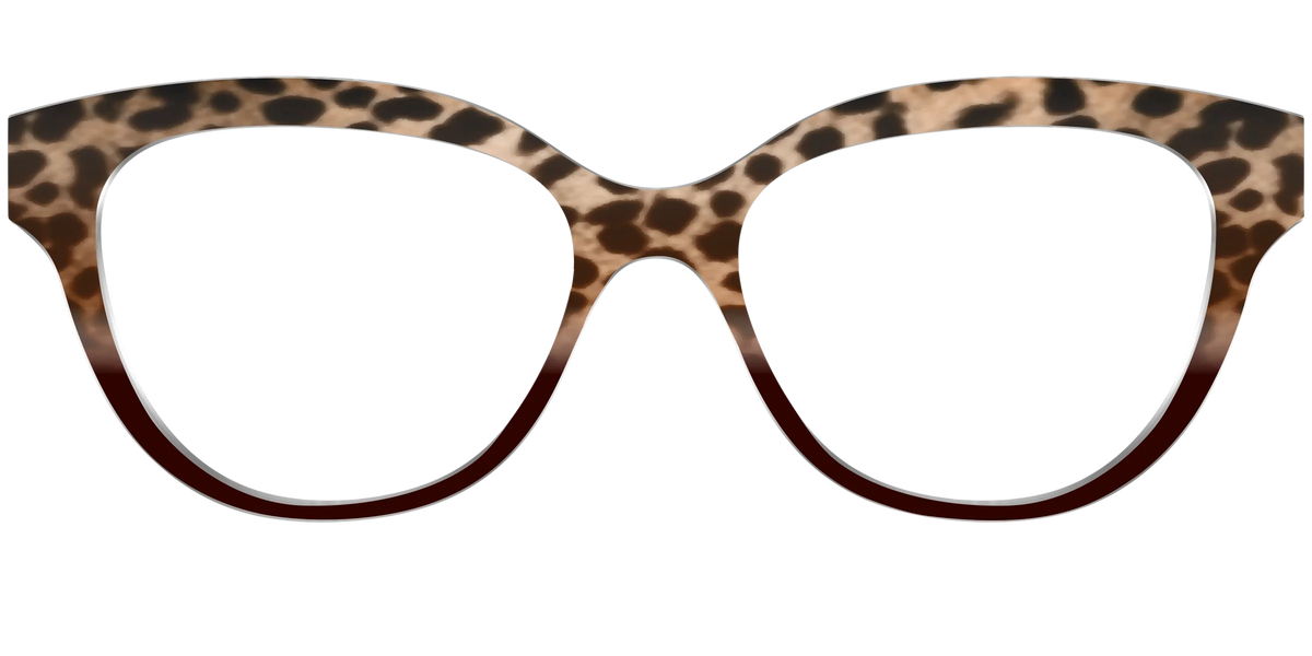 The Jungle Cat Tortoise