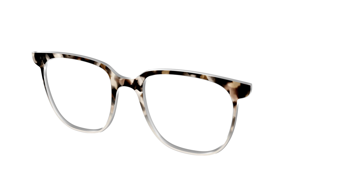 The Vanilla Latte Tortoise
