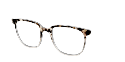 The Vanilla Latte Tortoise