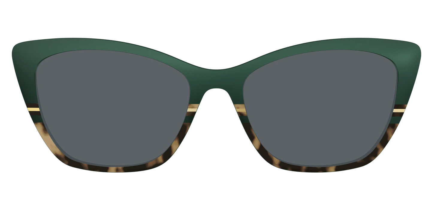 The Polarized Spruce Tortoise Sun Top