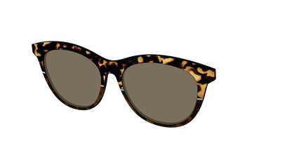 The Polarized Chic Tortoise Split Sun Top