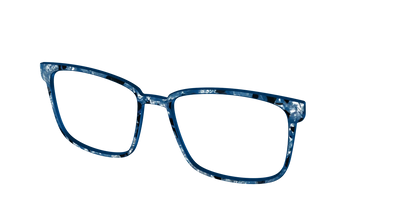 The Midnight Blue Pearl Tortoise