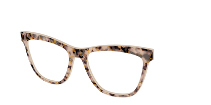 The Almond Tortoise with Gold Streaks