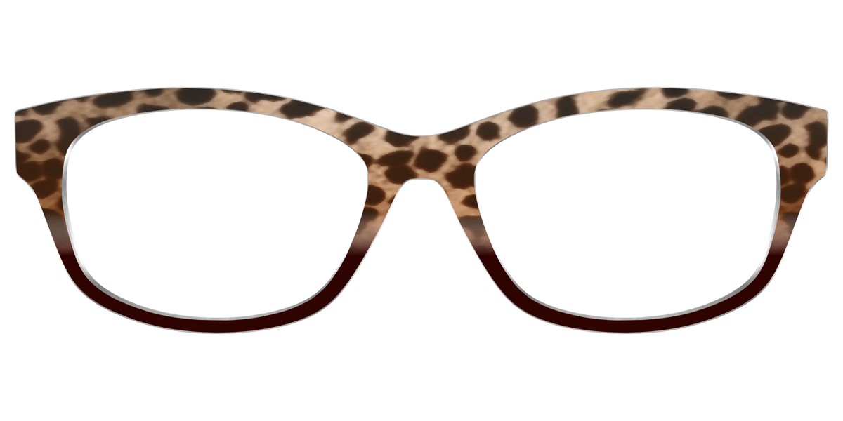 The Jungle Cat Tortoise