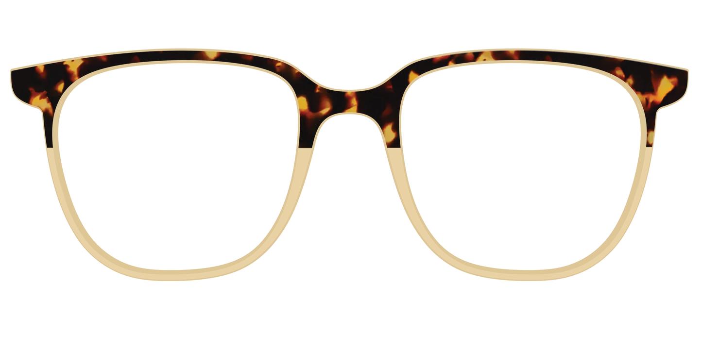 The Amber Tortoise Crystal Split