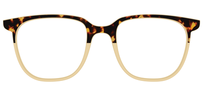 The Amber Tortoise Crystal Split
