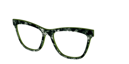 The Olive Pearl Tortoise