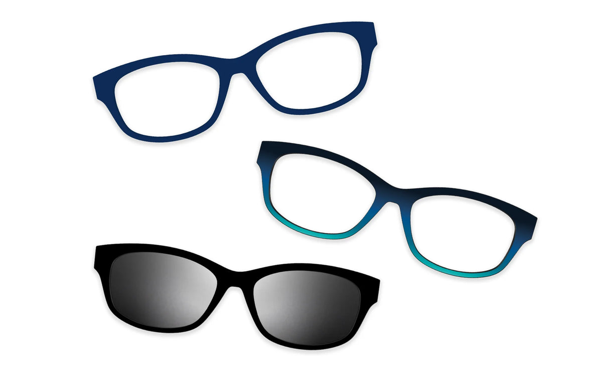 Blue Tortoise - Set