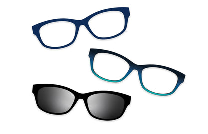 Blue Tortoise - Set