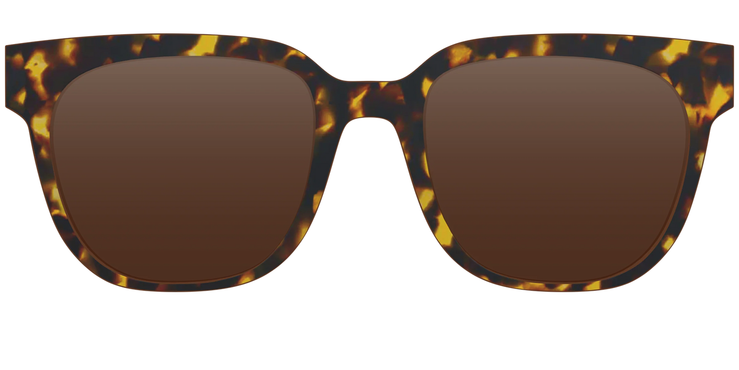The Polarized Tortoise Sun Top