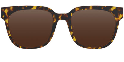 The Polarized Tortoise Sun Top