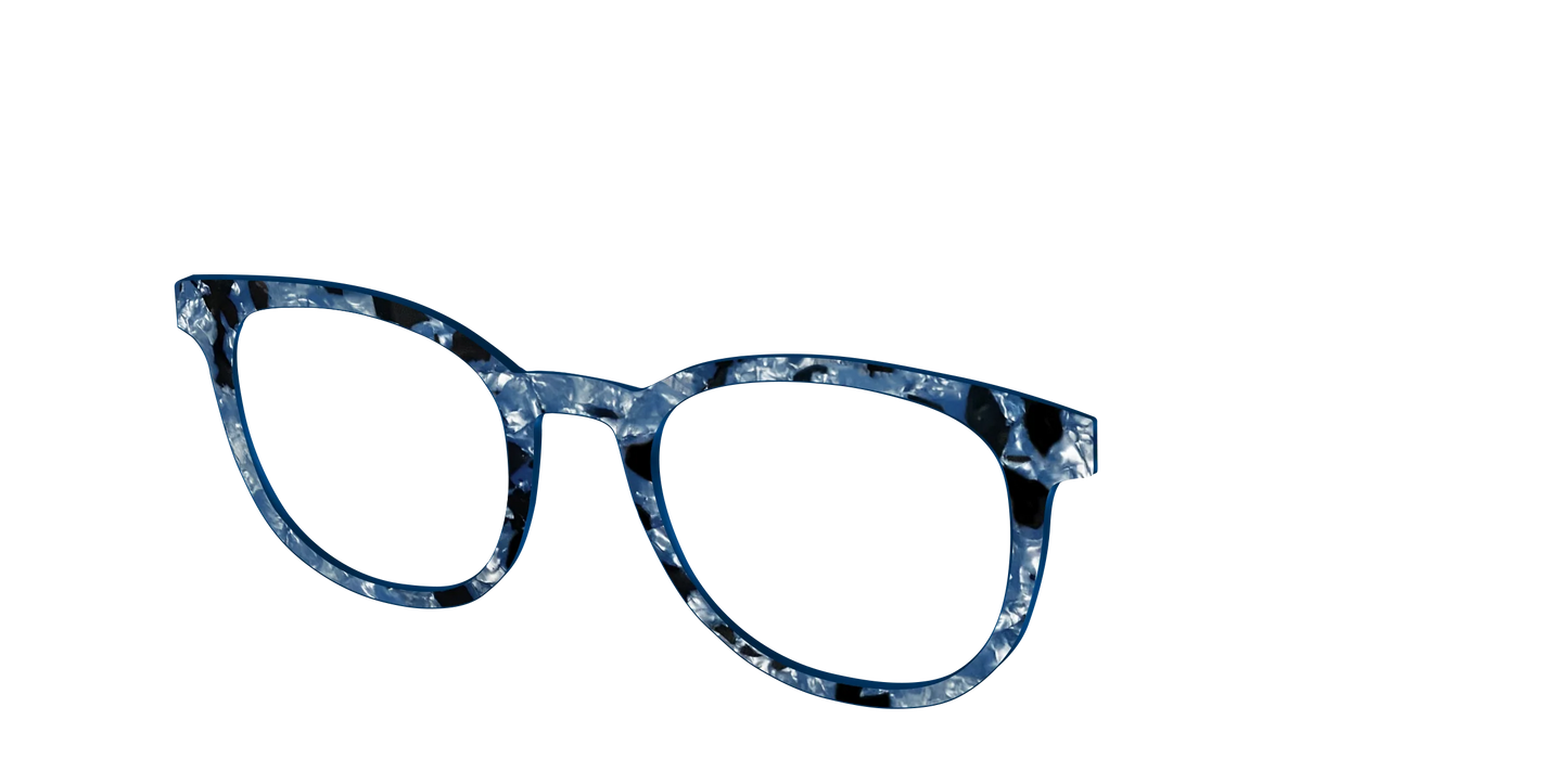 The Midnight Blue Pearl Tortoise