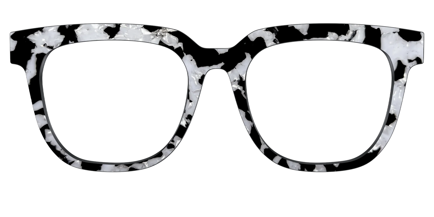 The Black & White Pearl Tortoise
