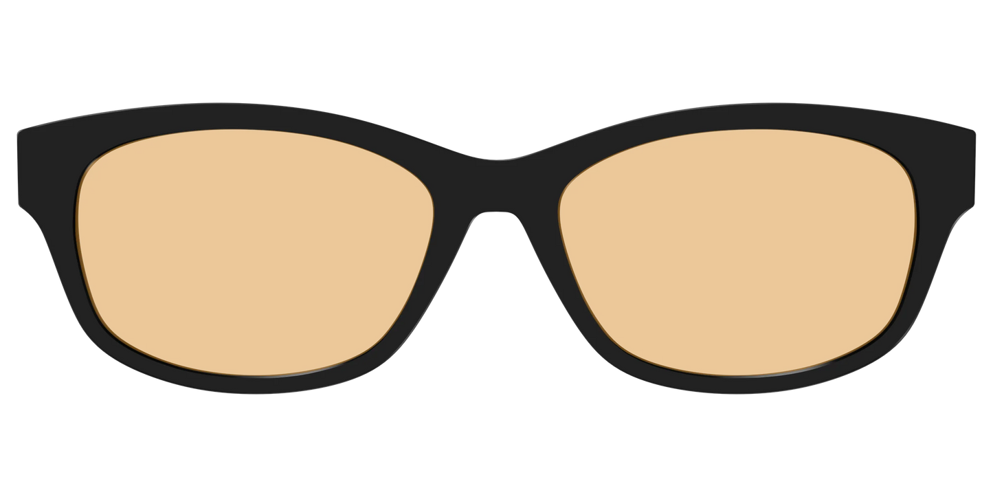 The Black With Umber Brown Lens