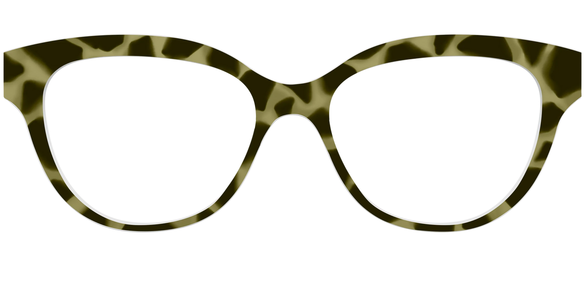 The Olive Tortoise