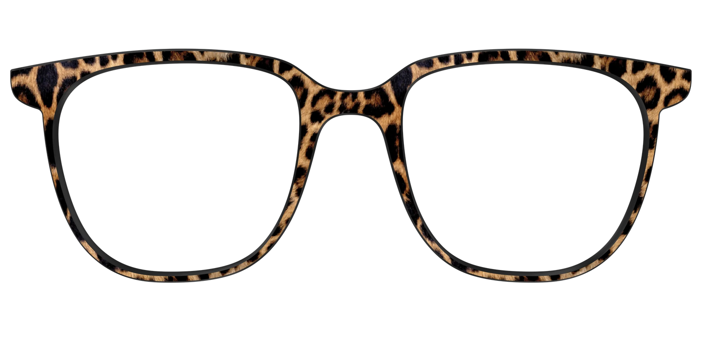 The Cheetah Spots