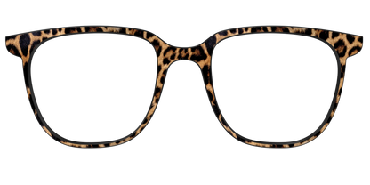 The Cheetah Spots