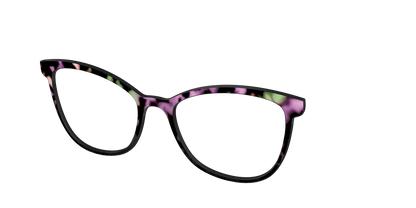The Boysenberry Tortoise