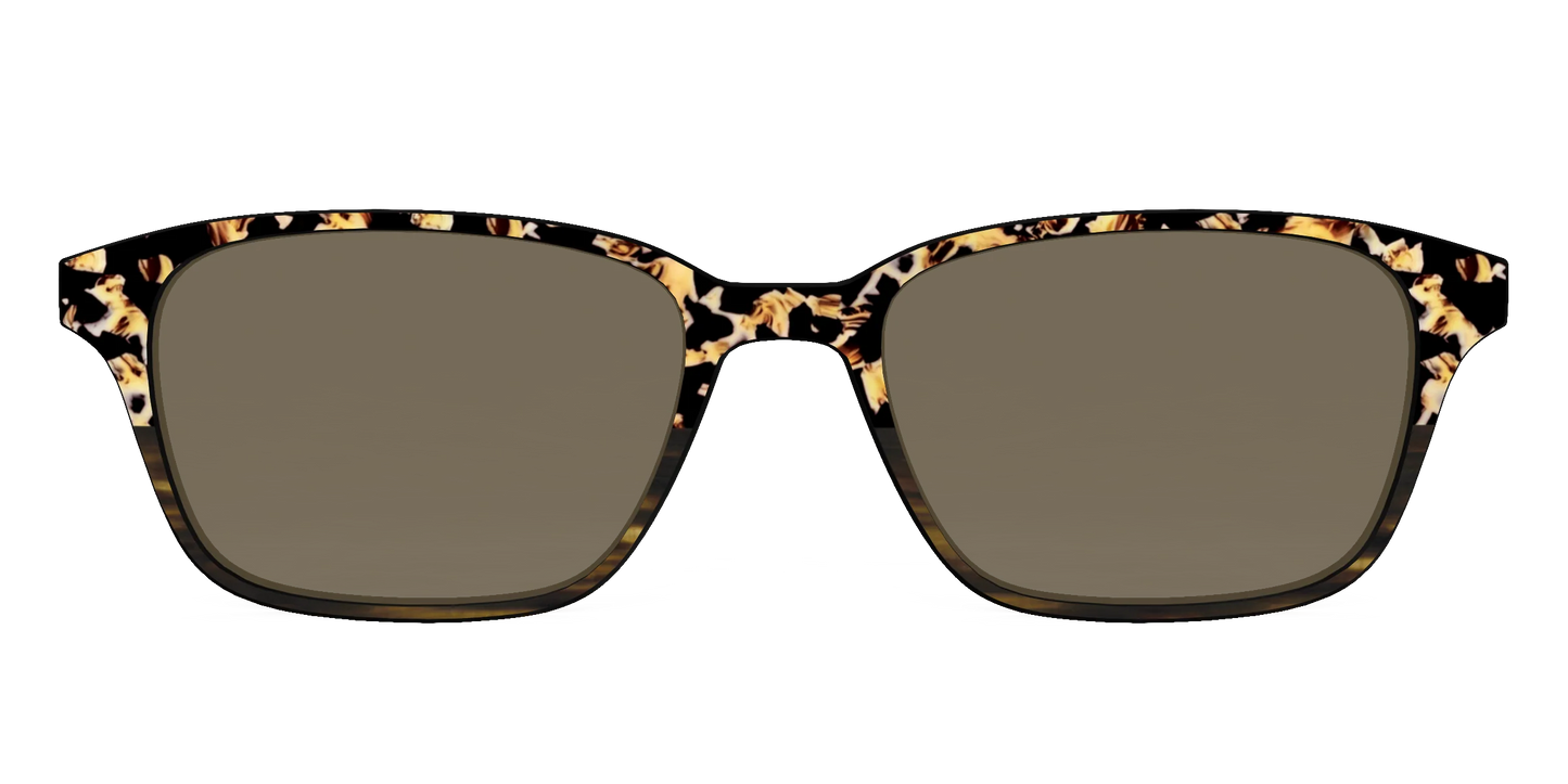 The Polarized Caramel Tortoise Horn Split Sun Top