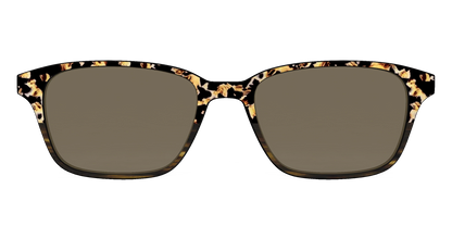 The Polarized Caramel Tortoise Horn Split Sun Top
