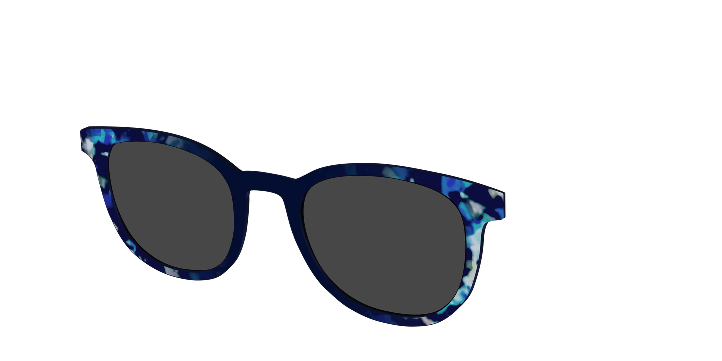 The Polarized Indigo Tortoise Sun Top