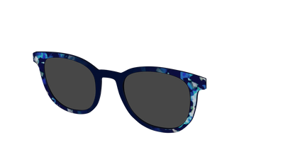 The Polarized Indigo Tortoise Sun Top