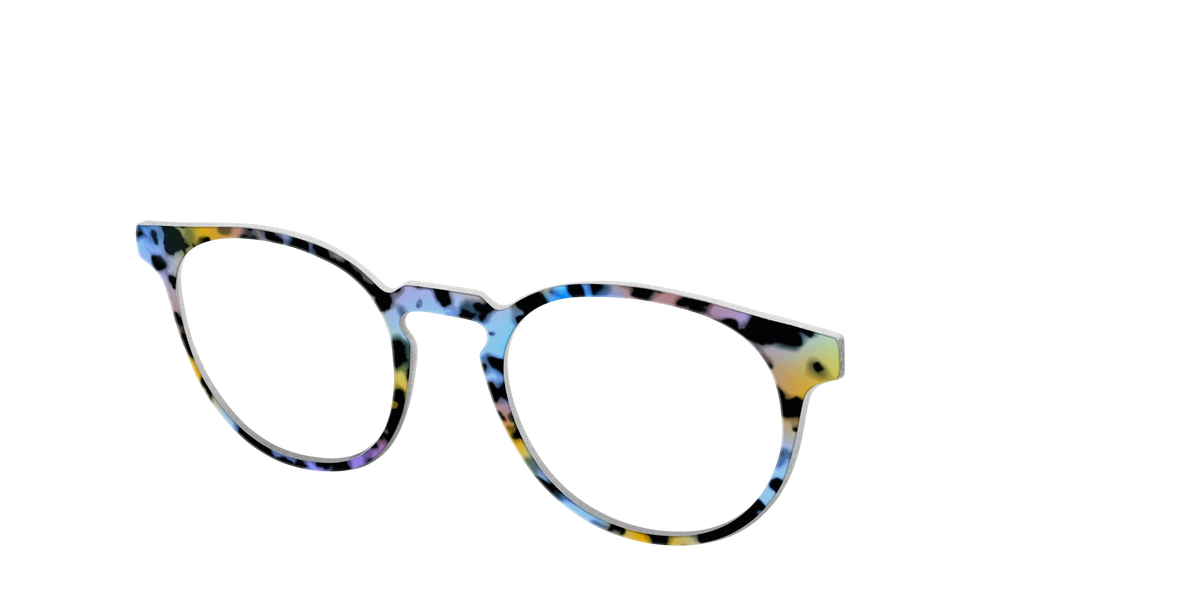 The Positano Tortoise