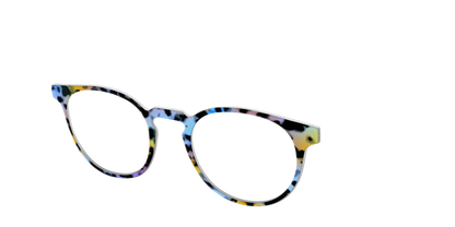 The Positano Tortoise