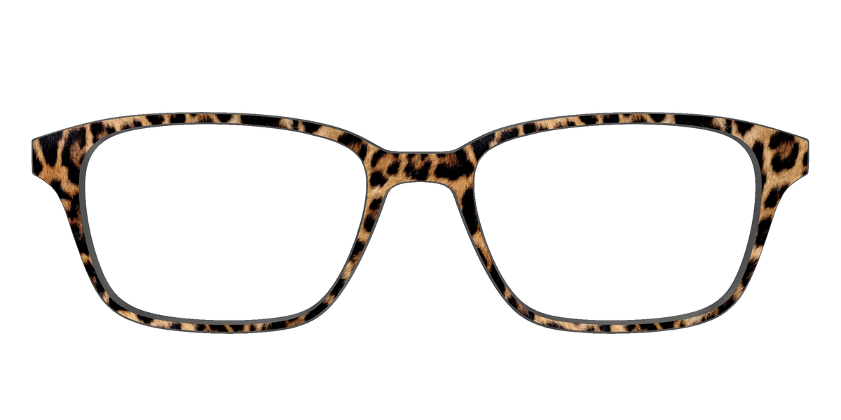 The Cheetah Spots