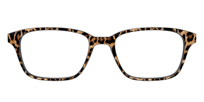 The Cheetah Spots