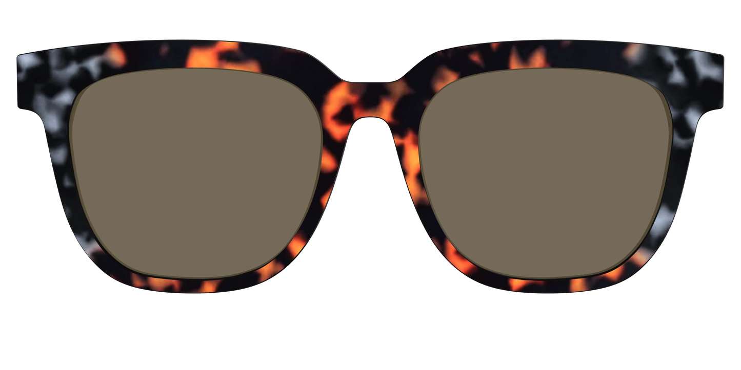 The Polarized Gray & Amber Tortoise Sun Top
