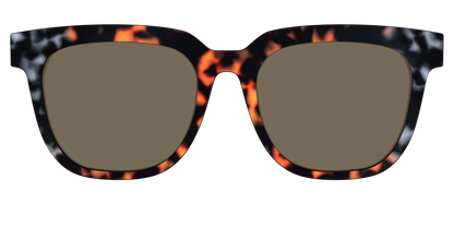 The Polarized Gray & Amber Tortoise Sun Top