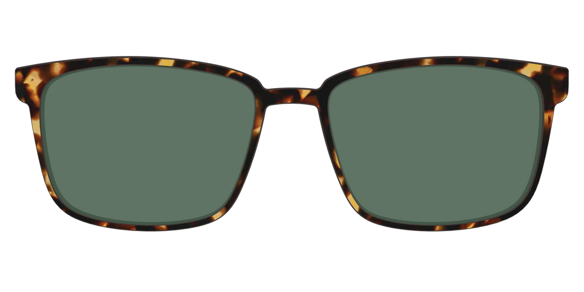 The Non-Polarized Green Tortoise Sun Top