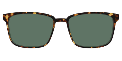 The Non-Polarized Green Tortoise Sun Top